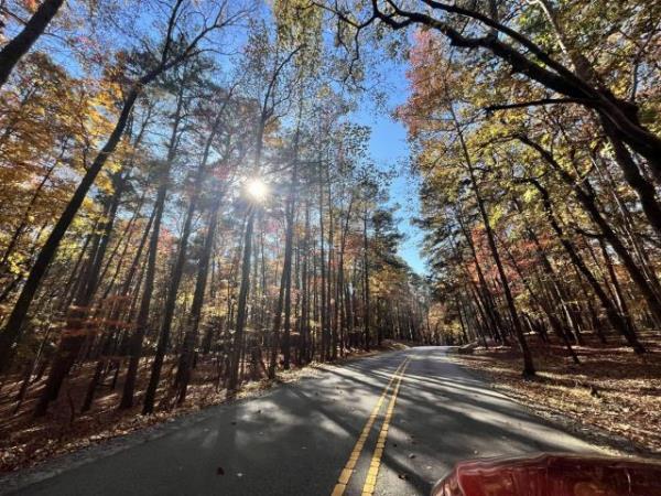 Driving to see Fall Leaves in the Triangle